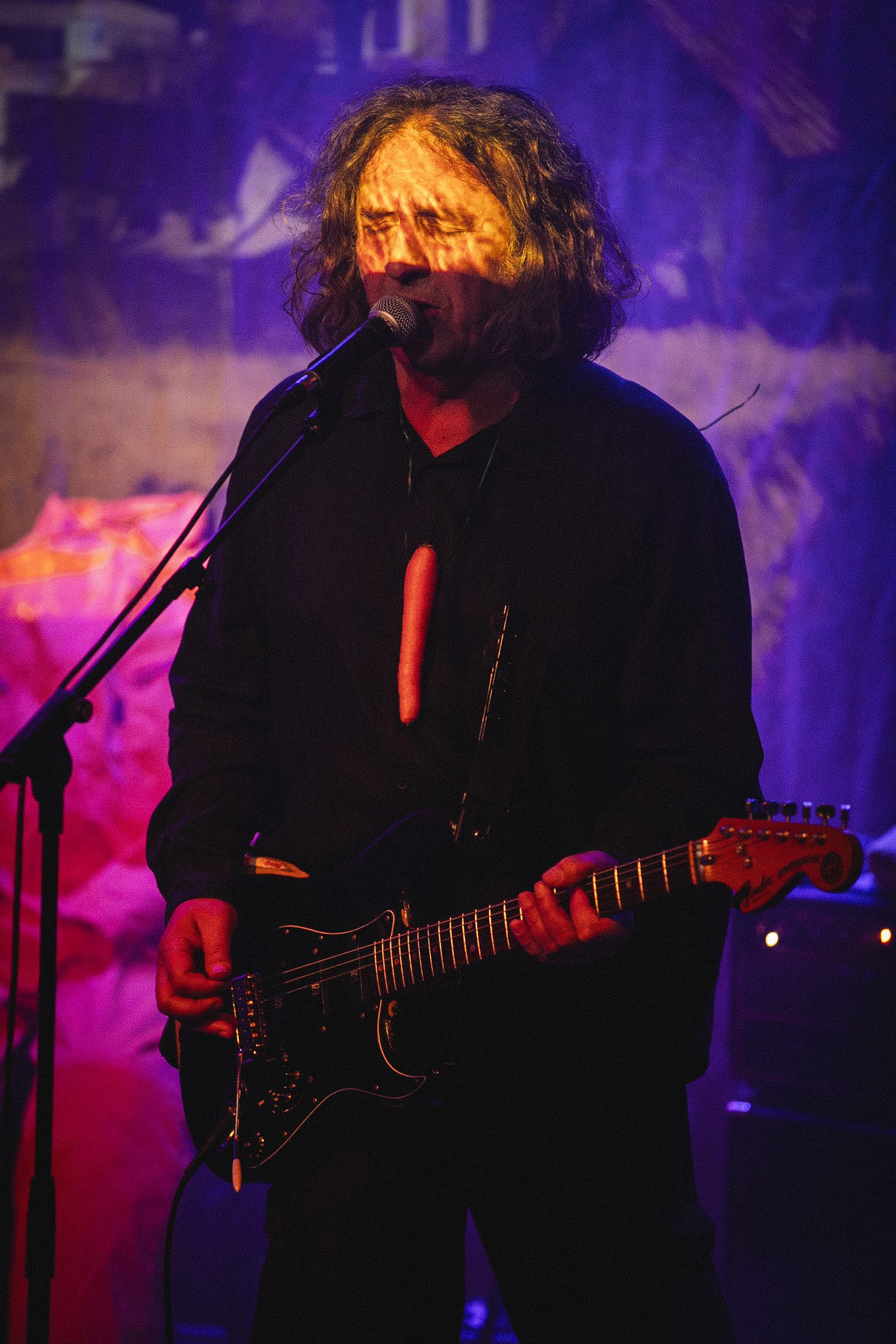 744A6551_Mrave_Brojim_by_NilsNebe_balkaNet_251122